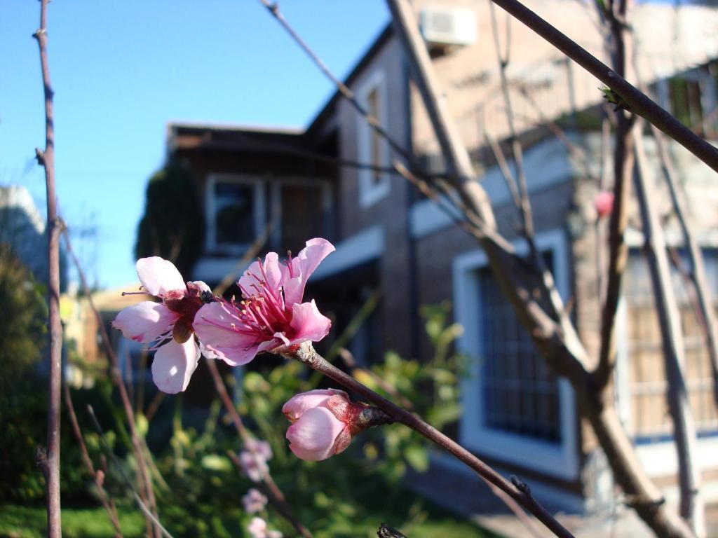 La Demorada Bed and Breakfast San Antonio de Areco Exterior foto