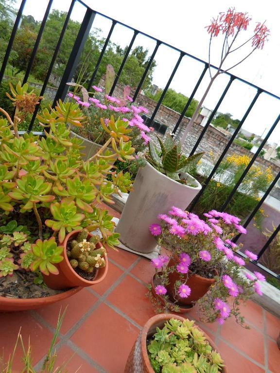 La Demorada Bed and Breakfast San Antonio de Areco Exterior foto